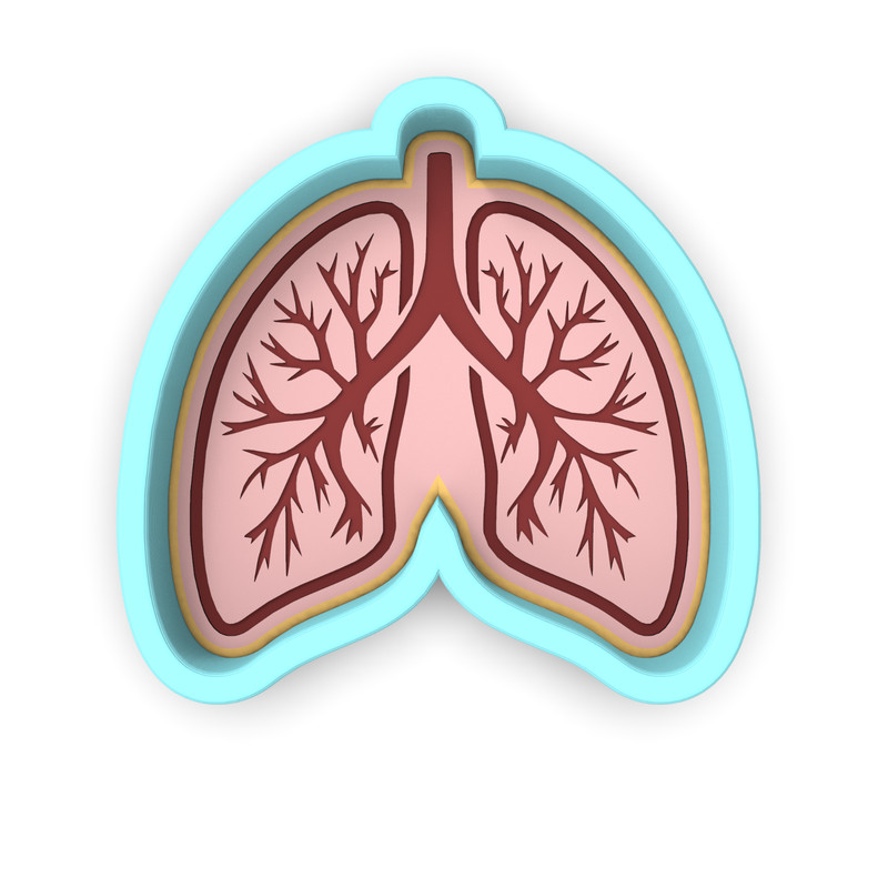 Lungs Cookie Cutter & Stamp | Breathe Respiratory Therapist Doctor Lung Anatomy gallery