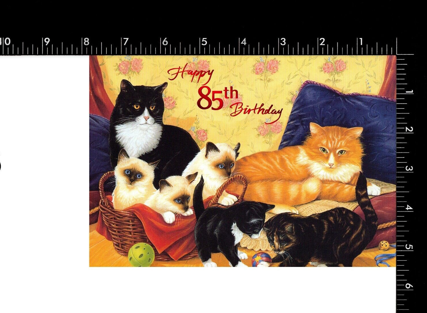 Happy 85TH BIRTHDAY Card FOR 85 YEAR OLD, Cute Cats Kittens — Akythan + Envelope gallery