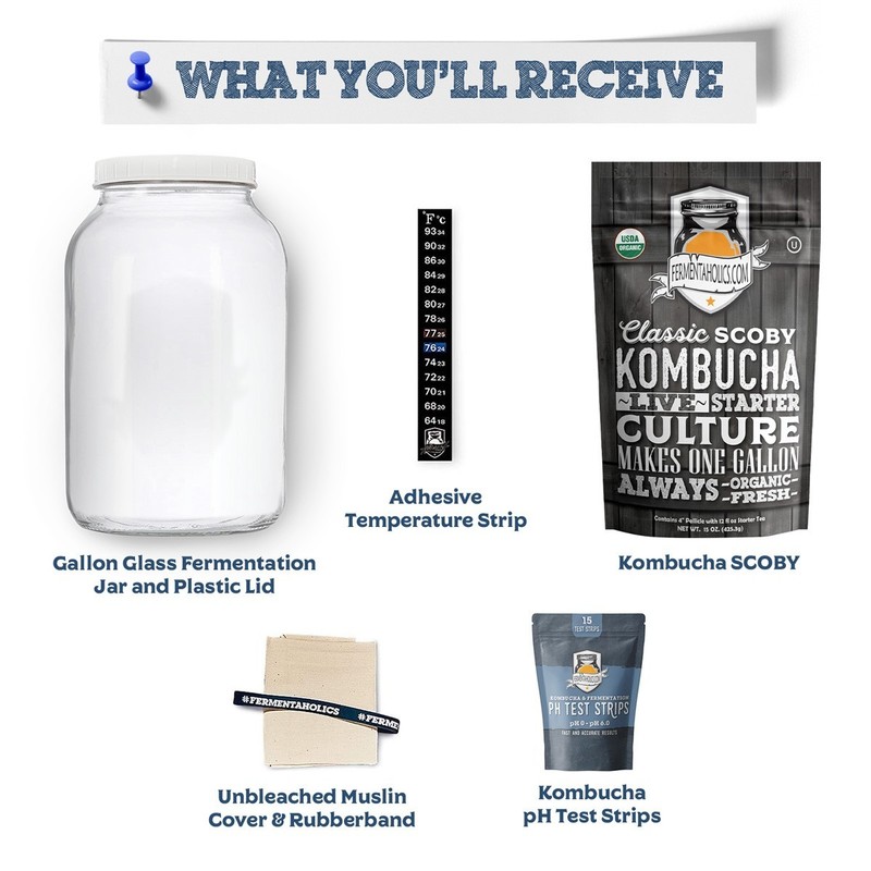 Kombucha Essentials Kit - ORGANIC SCOBY - Brew kombucha at Home gallery