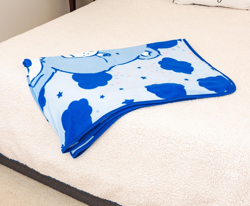 Care Bears Grumpy Bear Fleece Throw Blanket | 45 x 60 Inches gallery