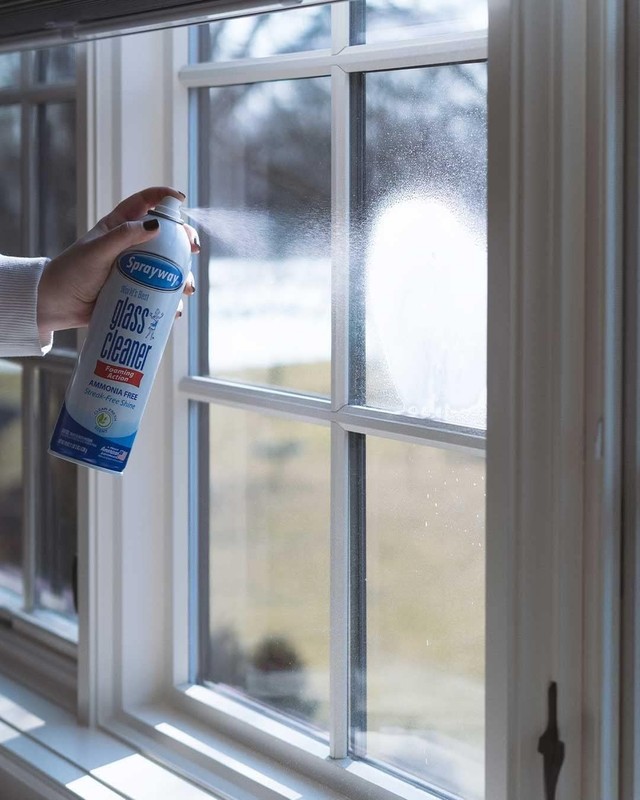 Sprayway Glass Cleaner with Foaming Spray for a Streak-Free 19 oz., Pack of 12 gallery