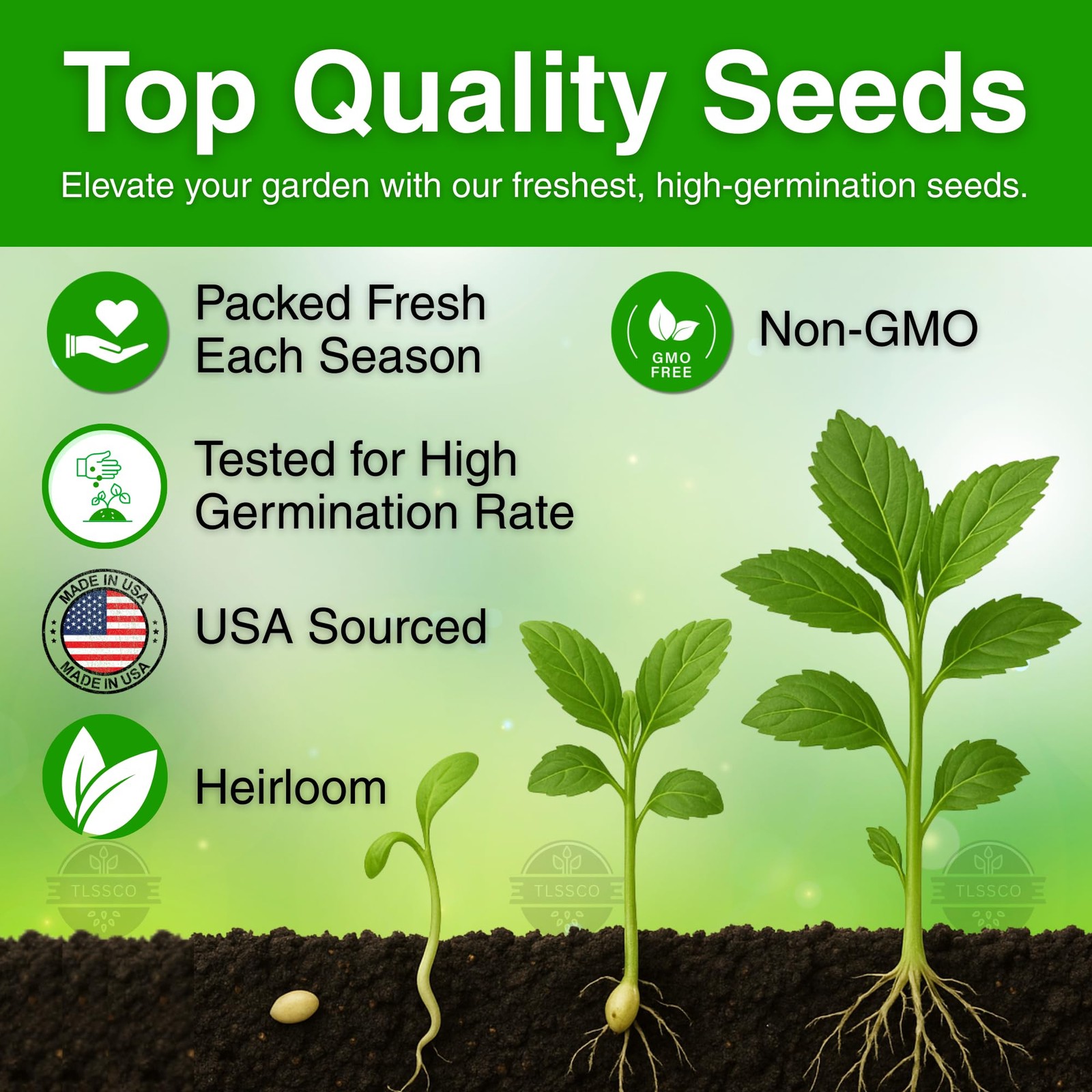 3000+ USA Premium Egyptian Spinach Seeds (Molokhia), Non-GMO 3000, Green gallery