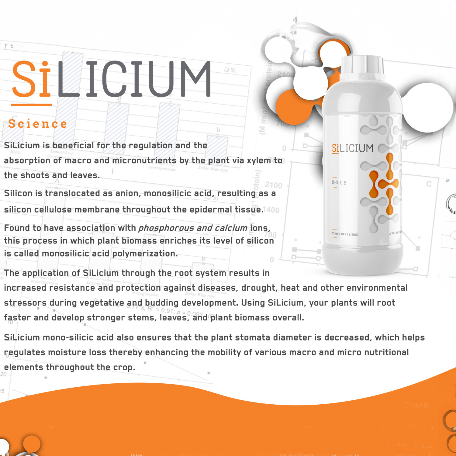 SiLicium Monosilicic Acid Boosts Nutrient Uptake 5 Liters Jug by SiLicium gallery