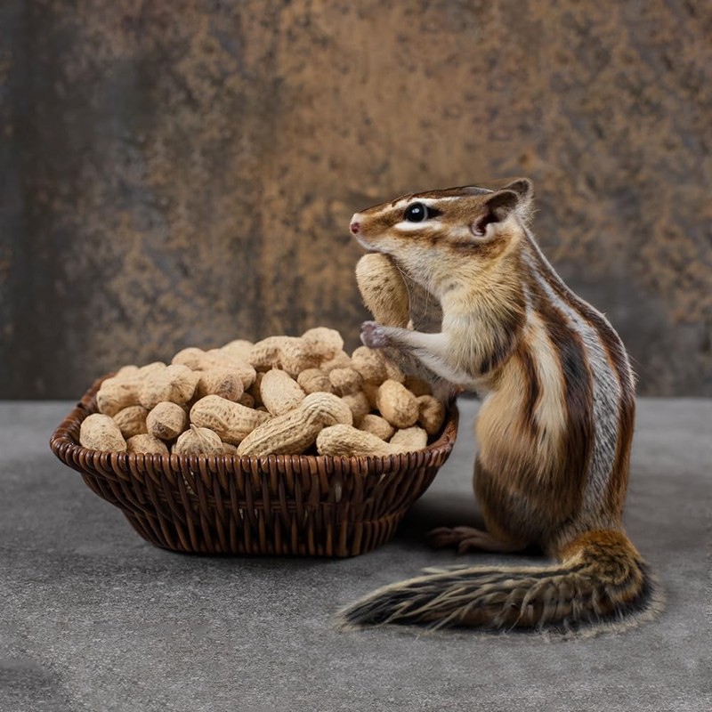 Naturalee Peanuts, Plain In Shell 2 lbs - Raw, Unsalted - Natural 2 Pounds gallery
