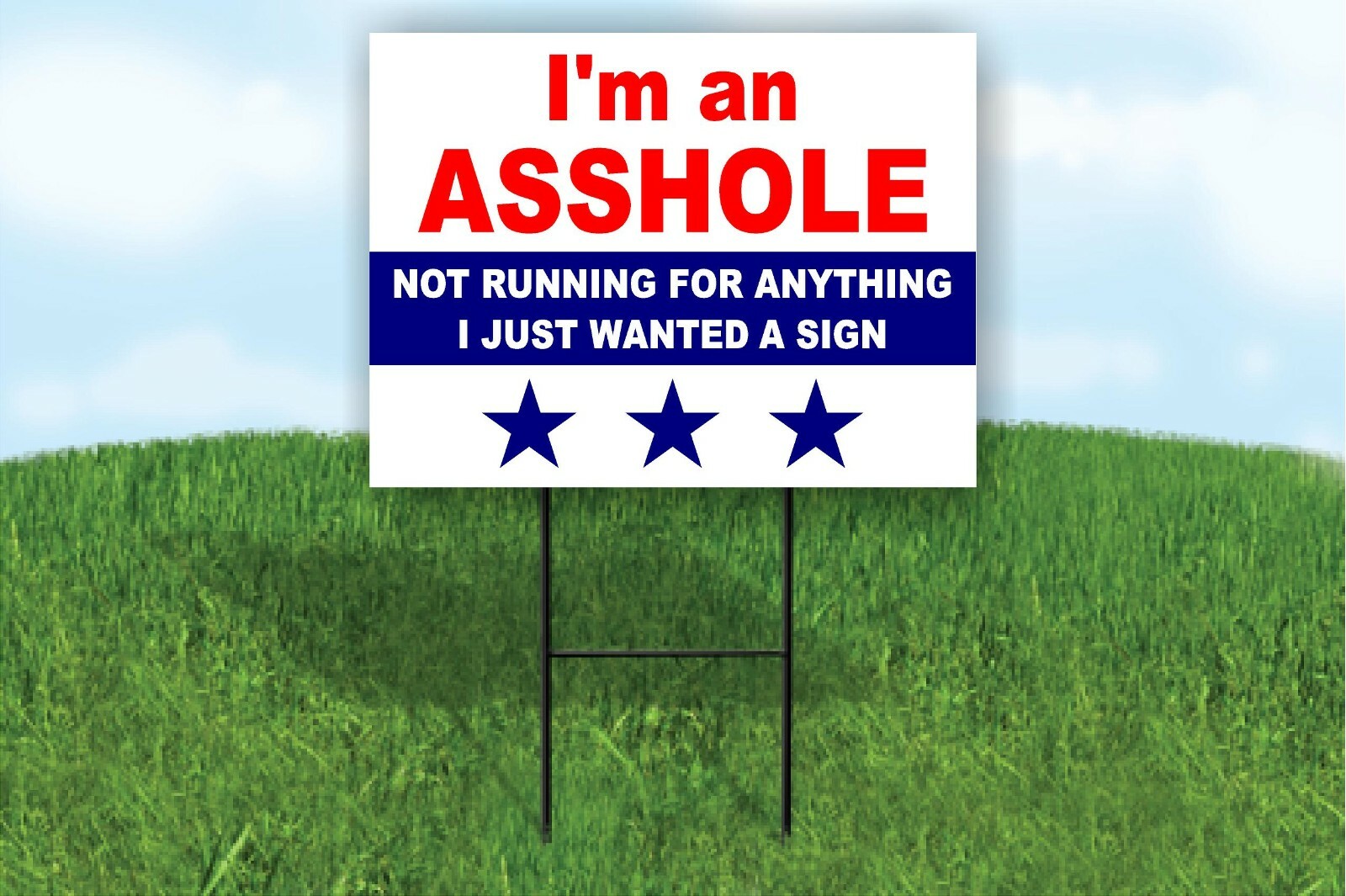I'M A ***HOLE NOT RUNNING FOR ANYTHING PRESIDENT Yard Sign ROAD SIGN with stand gallery