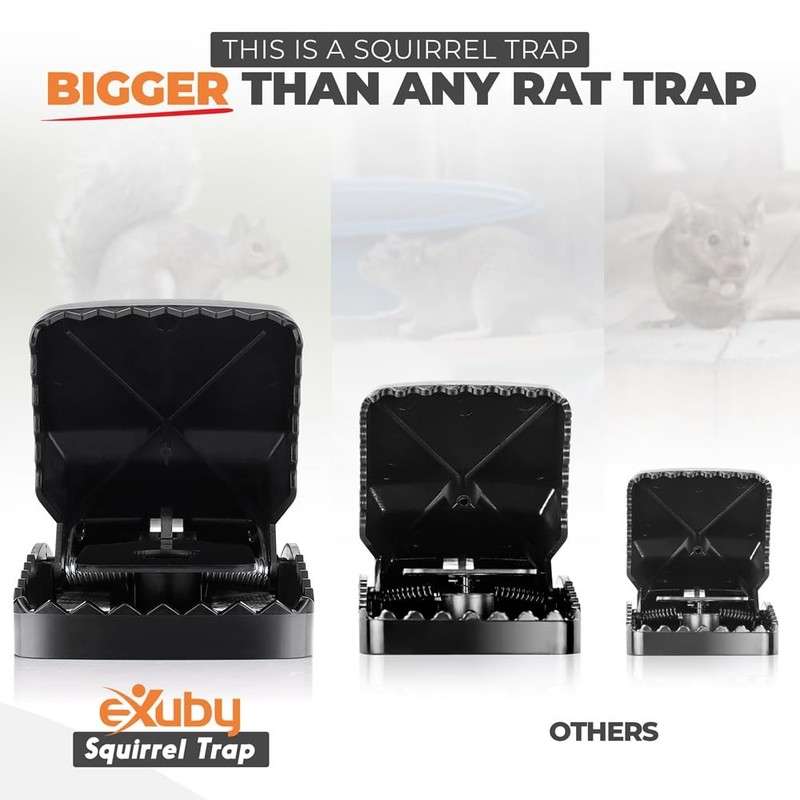 Squirrel Trap (2 Pack) - Consistent & Humane Traps Every Time with no Failure... gallery
