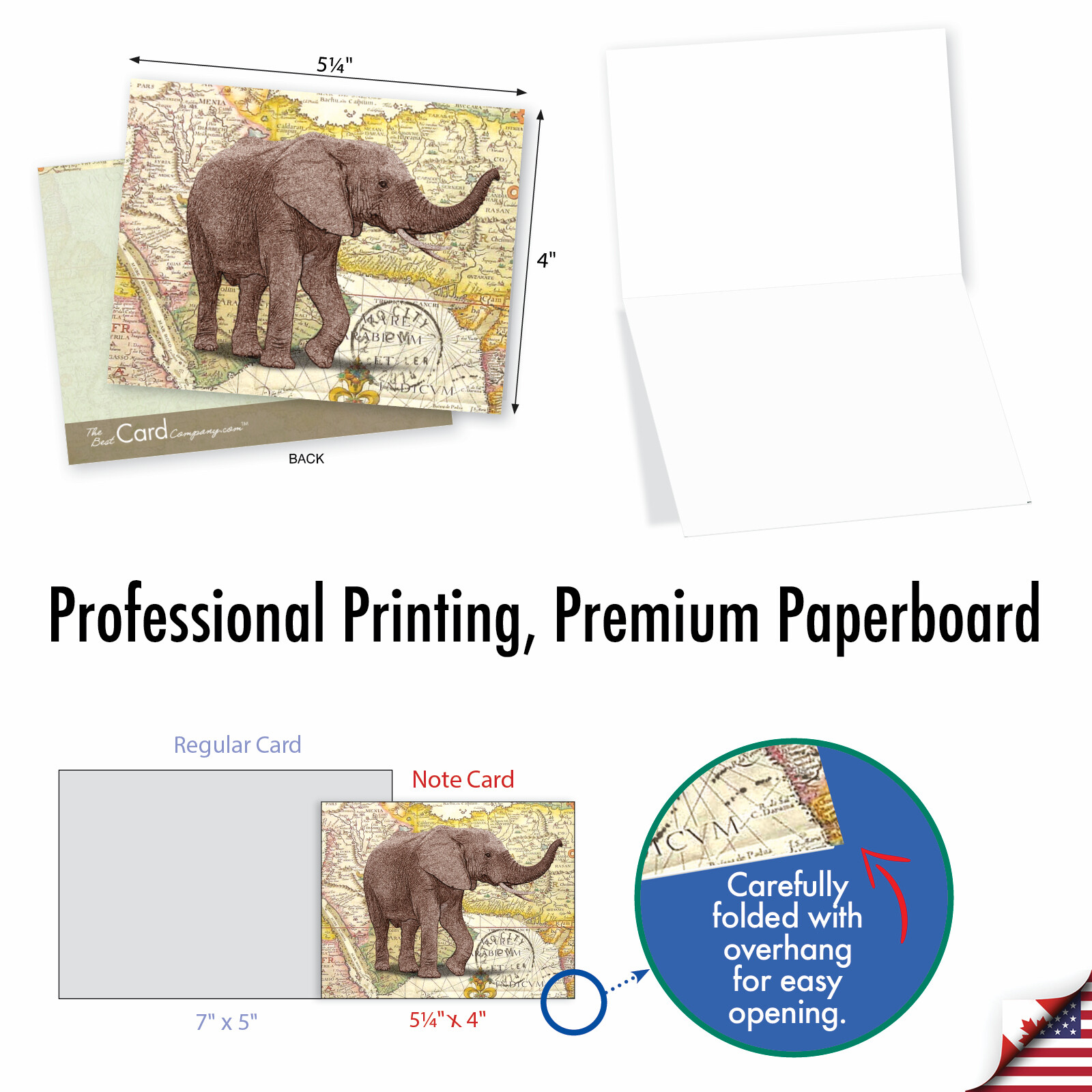 10 Assorted All Occasion Blank Note Cards Pack - Trunk Mail gallery
