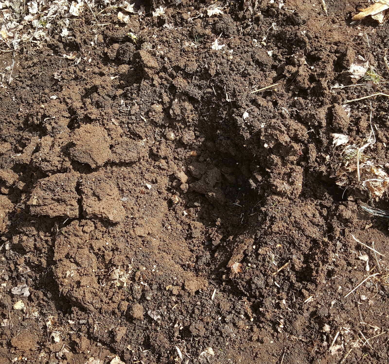 5 pounds Fresh Alpaca Manure Already Composted - Ready to Use! gallery