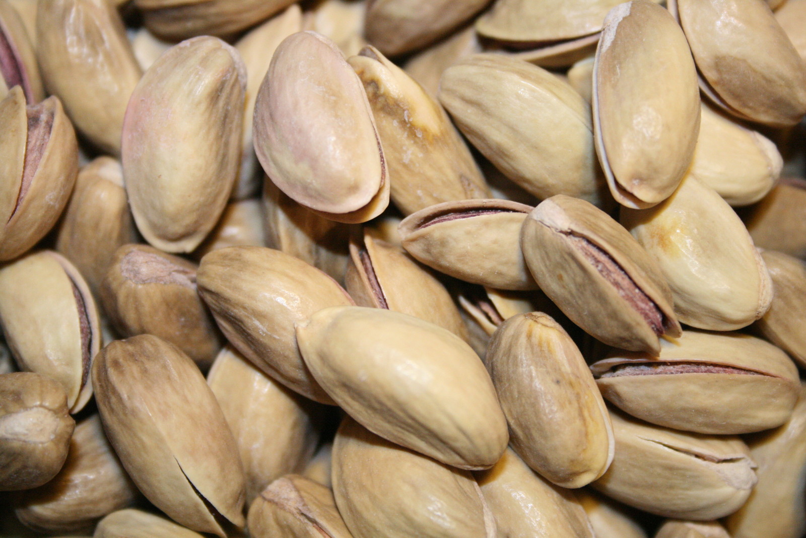 Turkish Pistachios Antep InShell Roasted and Salted (2 Pound) - Free Shipping gallery