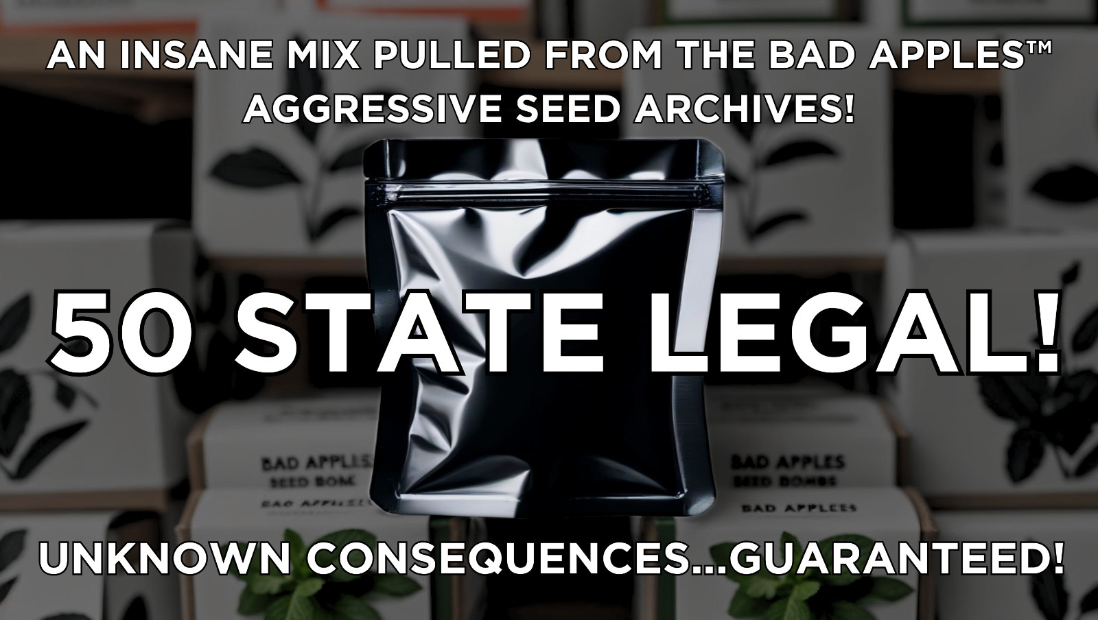Bad Apples™ The Bad Seed - Aggressive Seed Mix - DIY Guerrilla Garden Seeds gallery