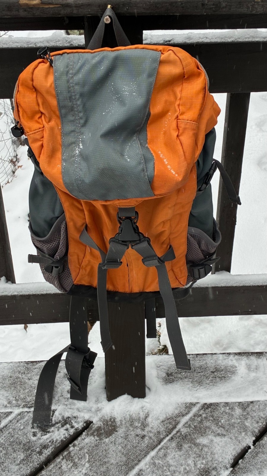 EDDIE BAUER Backpack with adjustable straps and mesh pockets