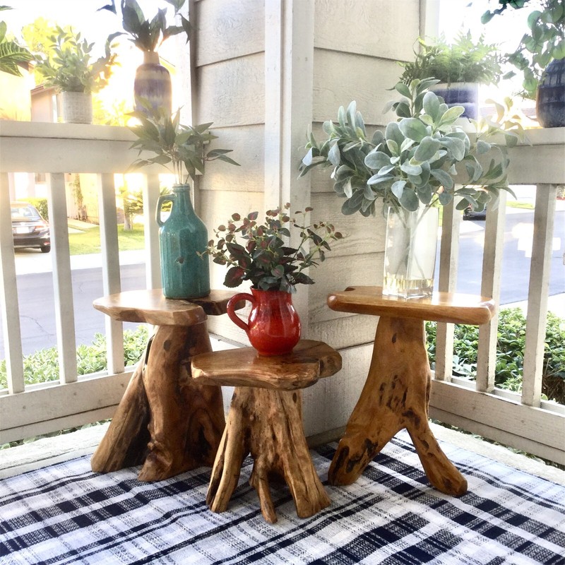 Natural Irregular Shape Tree Stump End Table Plant Stand, 14"x13"x18"H gallery