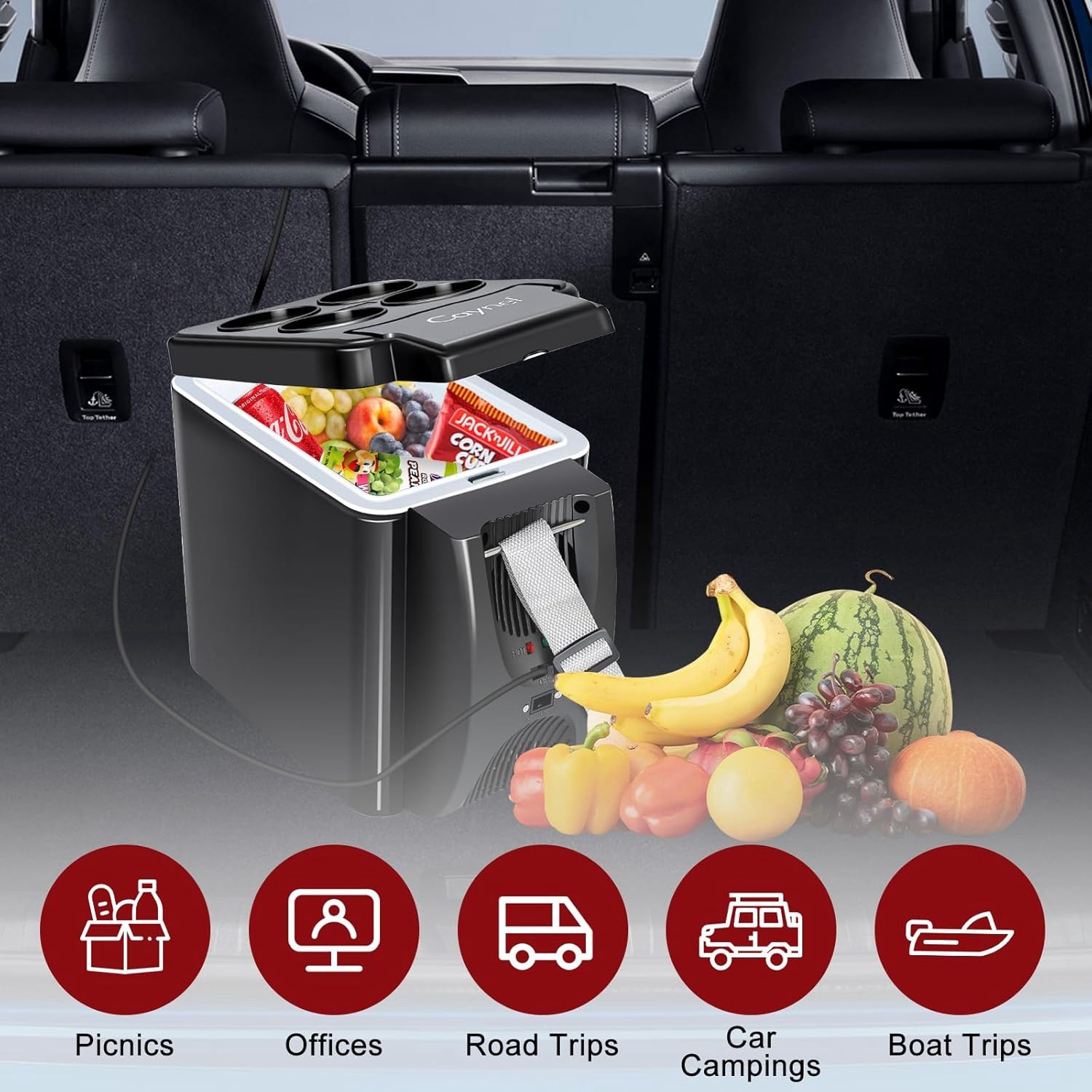 6 Liter Small Fridge Portable Electric Cooler Warmer with 12V DC 6 Quart for Car gallery