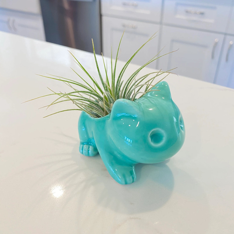 Bulbasaur Planter br (Includes Drainage Hole For Non Air Plants) gallery