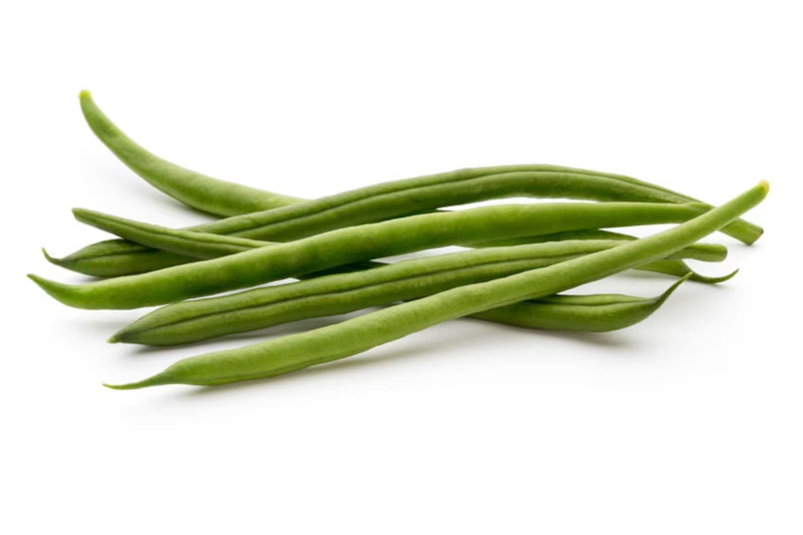 25 Heirloom Vegetable Seeds- Jade II Bean! gallery