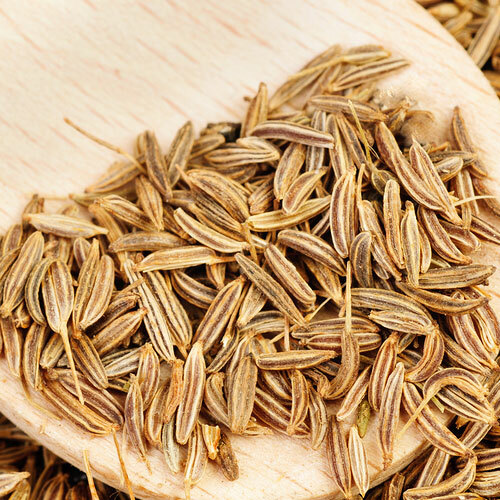 Cumin Seeds | Heirloom - Non-GMO | Free Shipping | Herb Seeds | Seed Store 1147 gallery