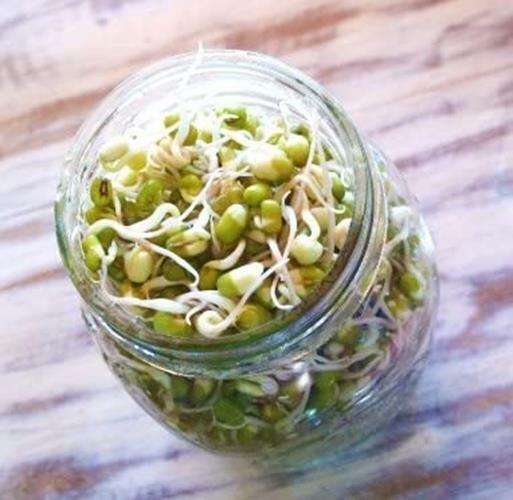 2 oz Mung Bean gallery