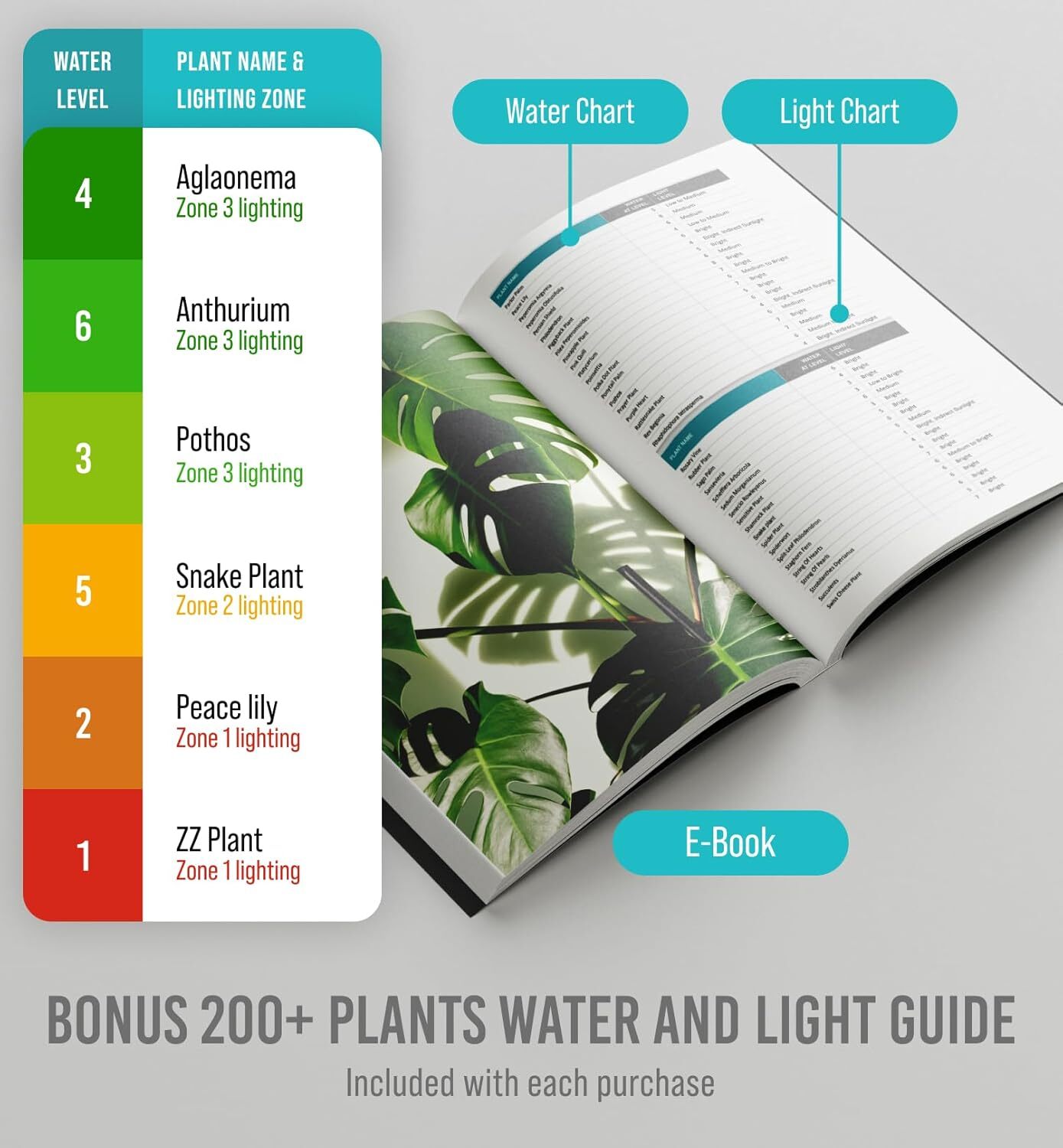 Soil Moisture Meter for Plants - Indoor and Outdoor Use, No Batteries Required gallery
