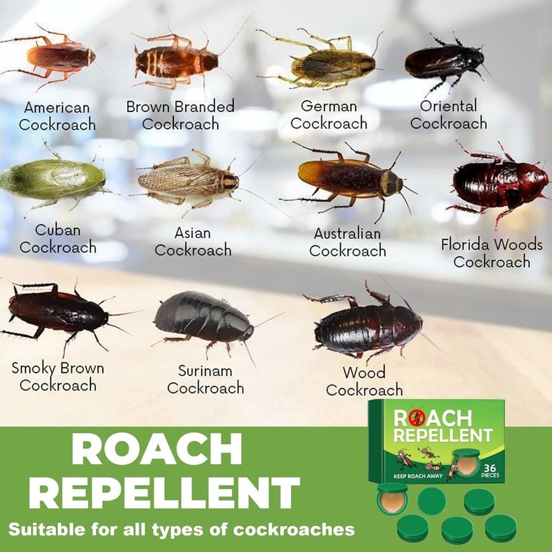 36PCS/Pack Roach Bait - Cockroach Killer Indoor Infestation gallery
