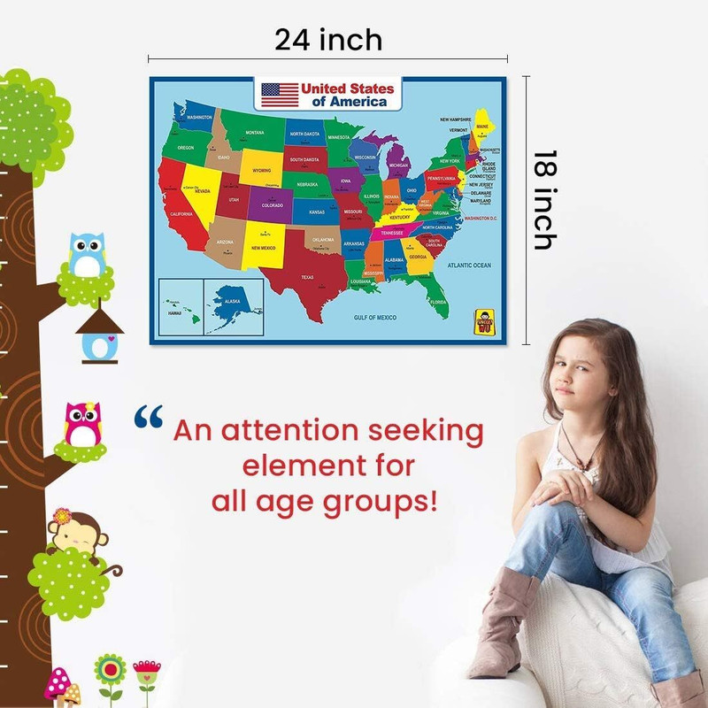 United State Map Laminated Poster -Double Side Educational Poster for Kids/Adult gallery