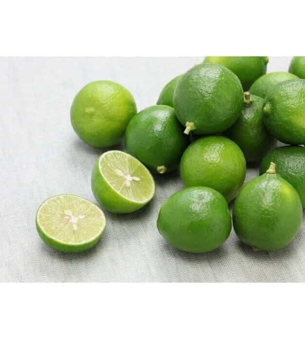 5000+ Citrus Key Lime Seedss (Citrus latifolia) Mexican Lime gallery