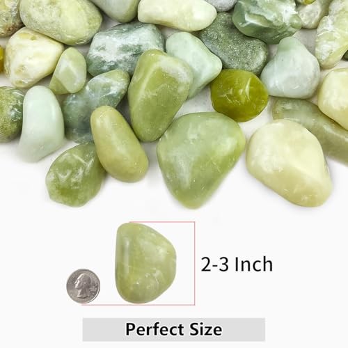 5lbs Pebbles for Indoor Plants, 2-3 Inch Natural River Rocks, 5 Pounds 1 Jade gallery