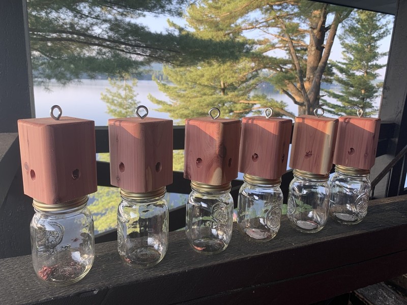 6 Red Cedar carpenter bee-bore cedar traps FREE SHIPPING gallery