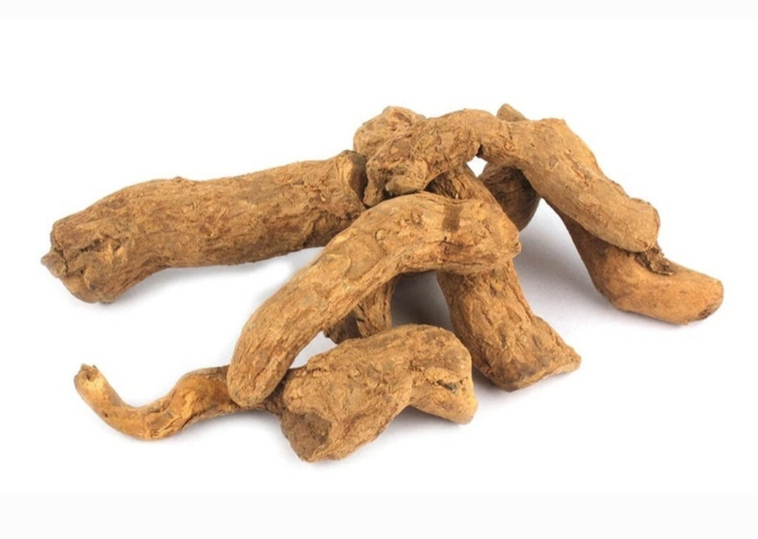 sarpagandha Roots, Snakeroot rauwolfia, serpentina, indian Snakeroot rauwolfia gallery