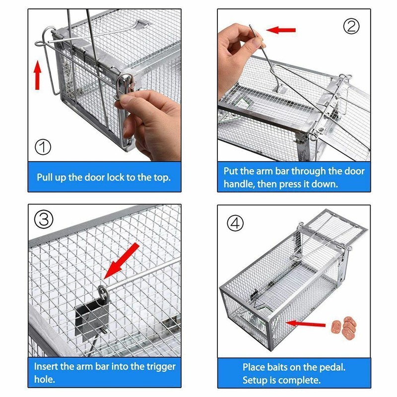 1-3x Live Humane Cage Trap For Squirrel Chipmunk Rat Mice Rodent Animal Catcher gallery