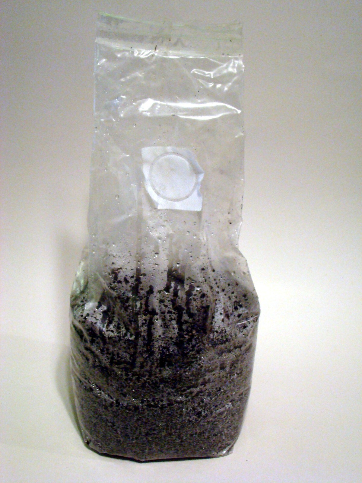 11 LBS Mushroom Bulk Substrate Dung Lovers Blend - Pasteurized - 1 GALLON Approx gallery