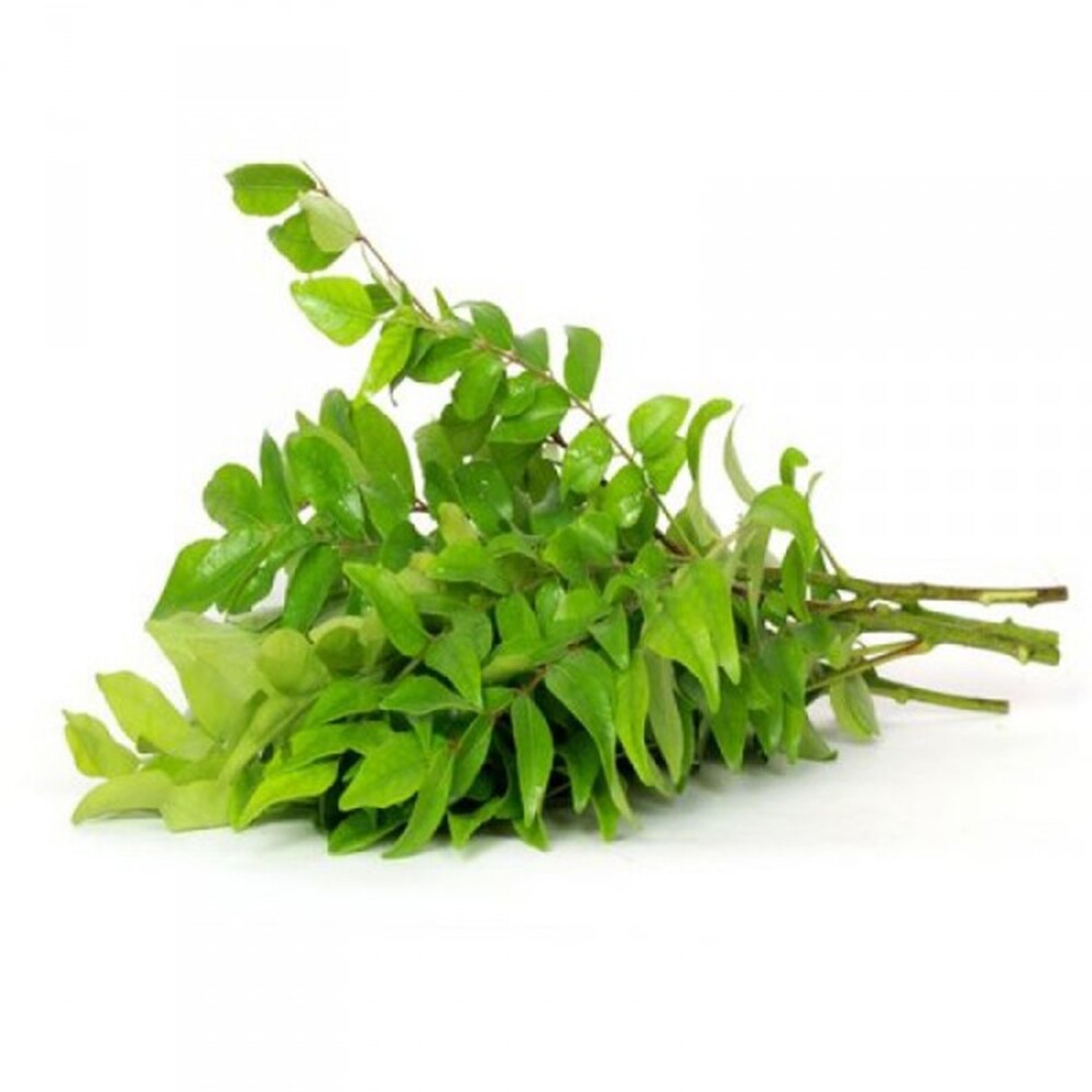 Curry Leaves Fresh & Dried (Murraya Koenigii) Quality Organic Natural Free 2022 gallery
