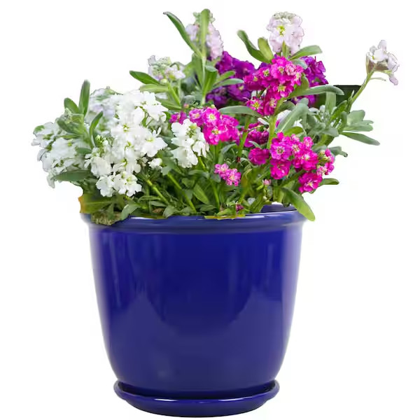 Delphine Blue Glazed Plastic Planter with Drainage Hole and Attached Saucer gallery