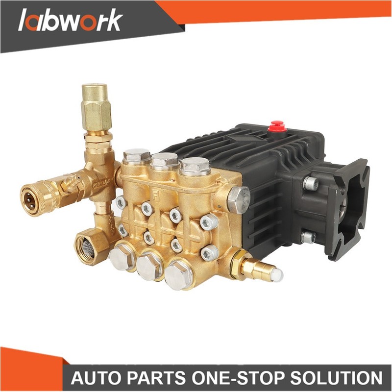 Labwork 3000 PSI Pressure Washer Pump CF 3030 G: 3.1 US gpm 3/4-in Shaft gallery