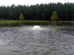 Kasco 3400AF 3/4HP Surface Aerators