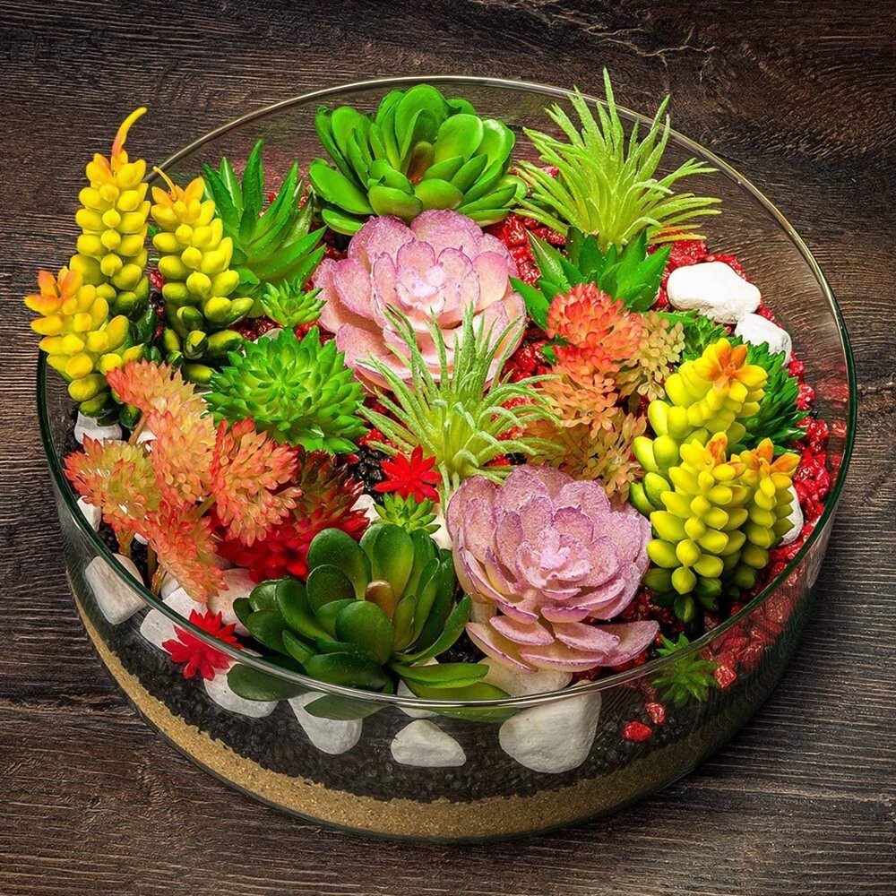 100pcs Mixed Rare Succulent Seeds, Mult-Color Indoor/Outdoor Plant gallery