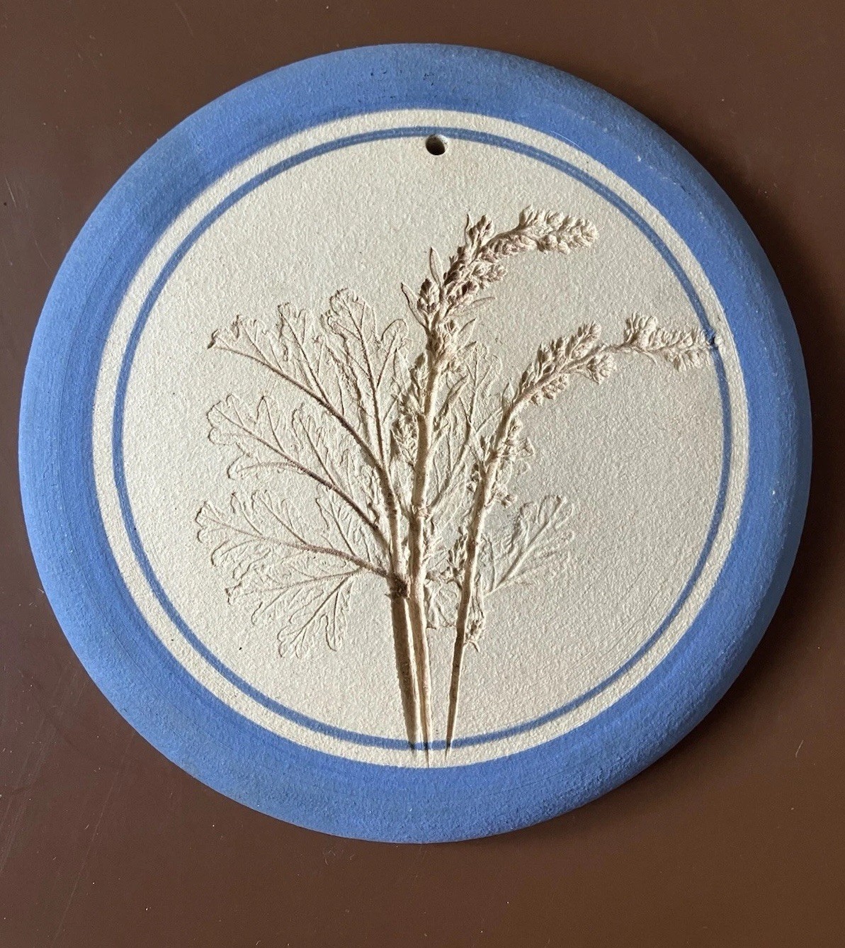 Decorative Handcrafted Round Plaster Wall Plaques Botanical Impressions 5 Inches gallery
