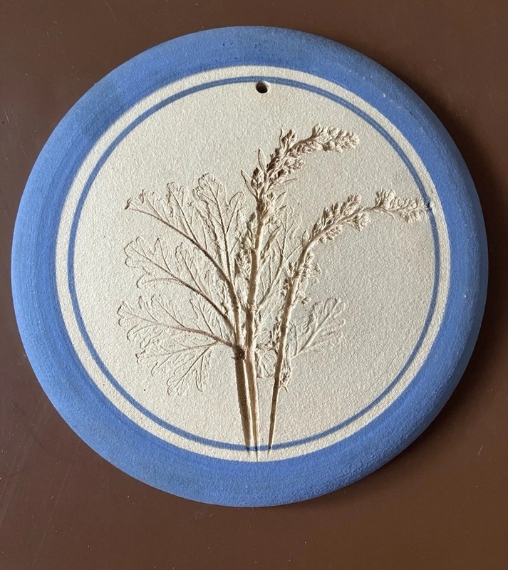 Decorative Handcrafted Round Plaster Wall Plaques Botanical Impressions 5 Inches gallery
