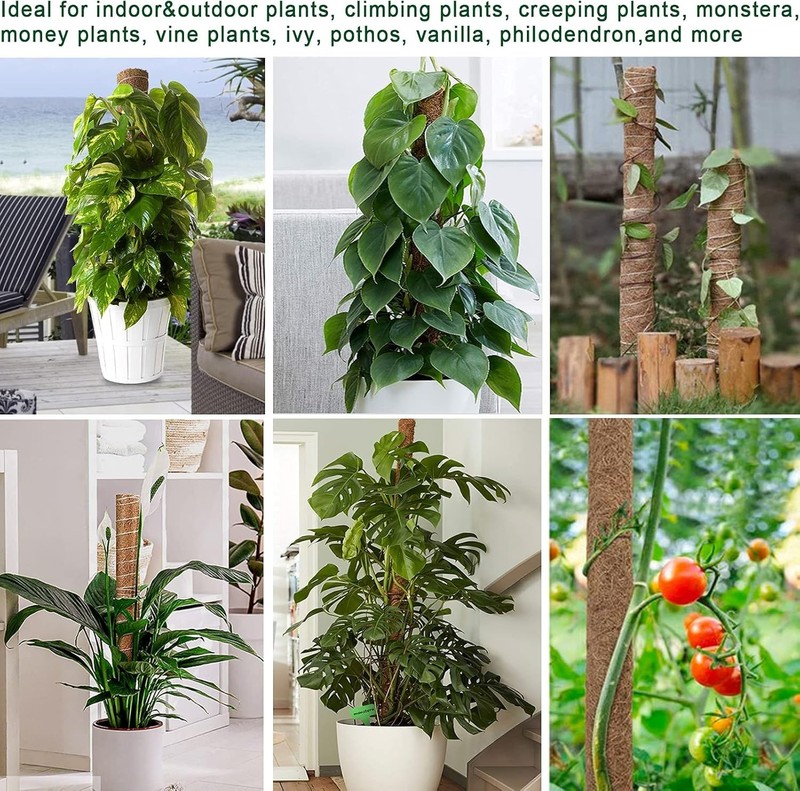 Versatile Climbing Plant Support - 36-Inch Moss Pole Set with Jute Ties Included gallery
