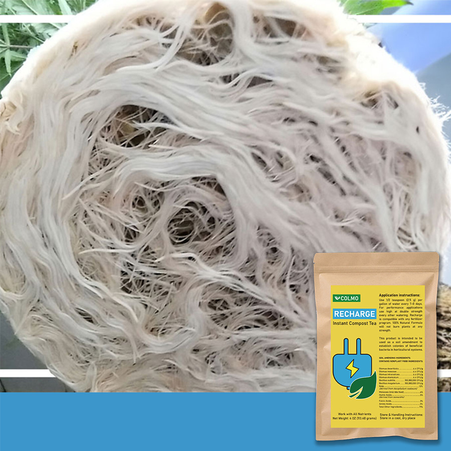 Recharge - Soil Microbe Superpack Natural Plant Growth Stimulant-4OZ gallery