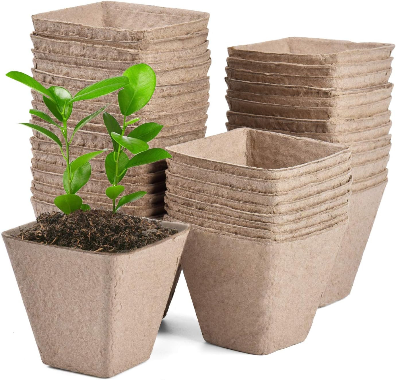 30 Pack Peat Pots 3.25" Biodegradable Seed Starter Garden Plant Pots gallery
