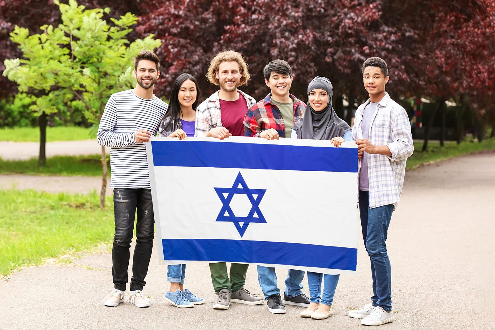 DANF Israel Flag 3x5 Ft Thick Polyester, Fade Resistant, Brass Grommets, Canv... gallery