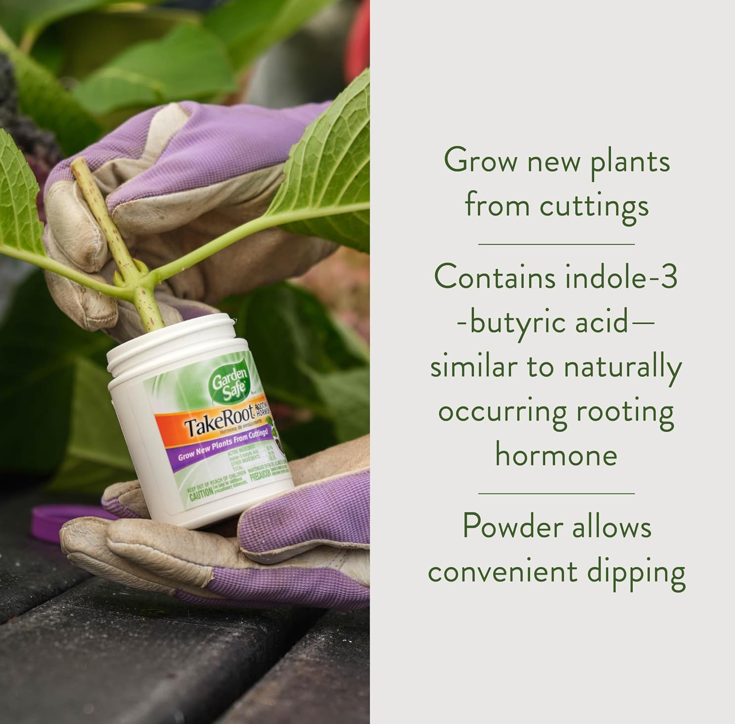 2 Pack Garden Safe Takeroot Rooting Hormone, New Plants Growth Powder - 2 Oz gallery