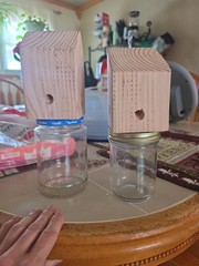 Carpenter Bee traps Handmade with soft pinewood Various size jars