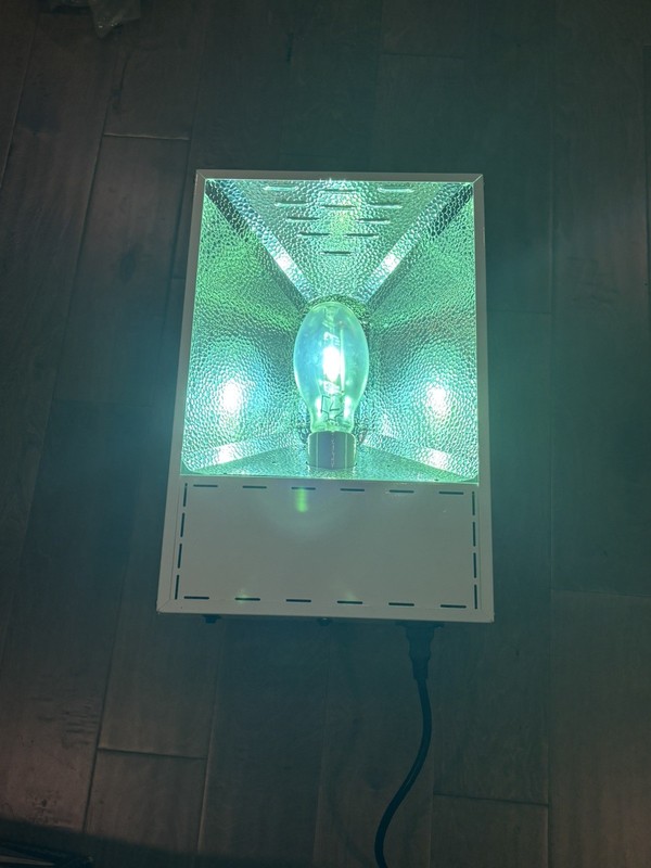 Sun System Digital 250/400 Watt Digital Grow Light and Sun Blaze 21 T5 Light gallery