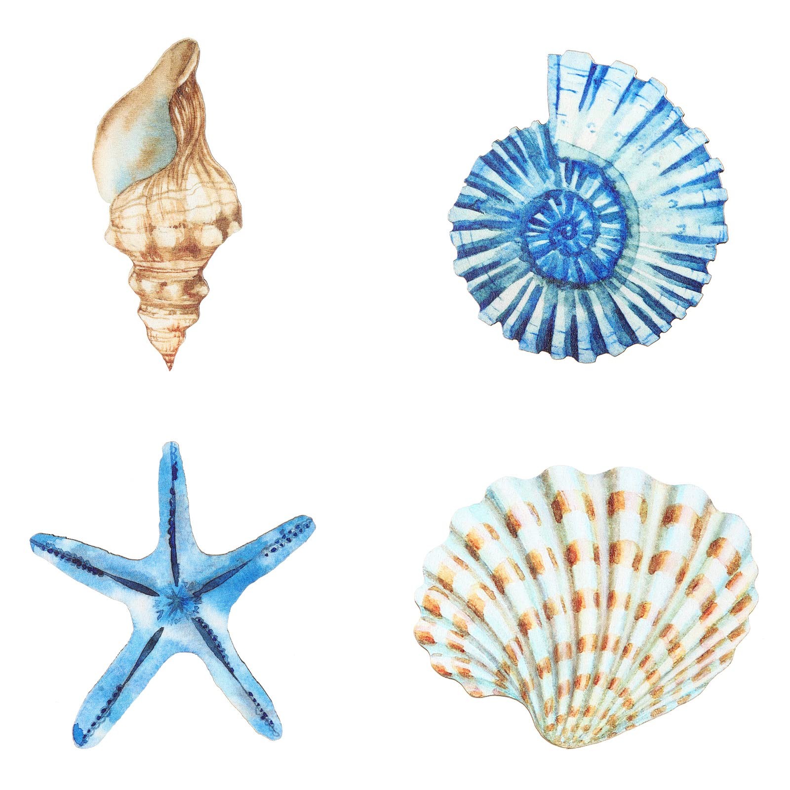 Yookeer 4 Pcs Beach Wall Decor Seashell Starfish Small, as pictures shown gallery