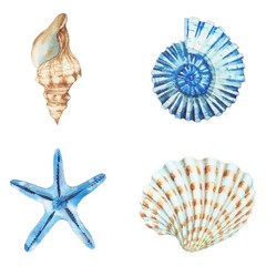 Yookeer 4 Pcs Beach Wall Decor Seashell Starfish Small, as pictures shown