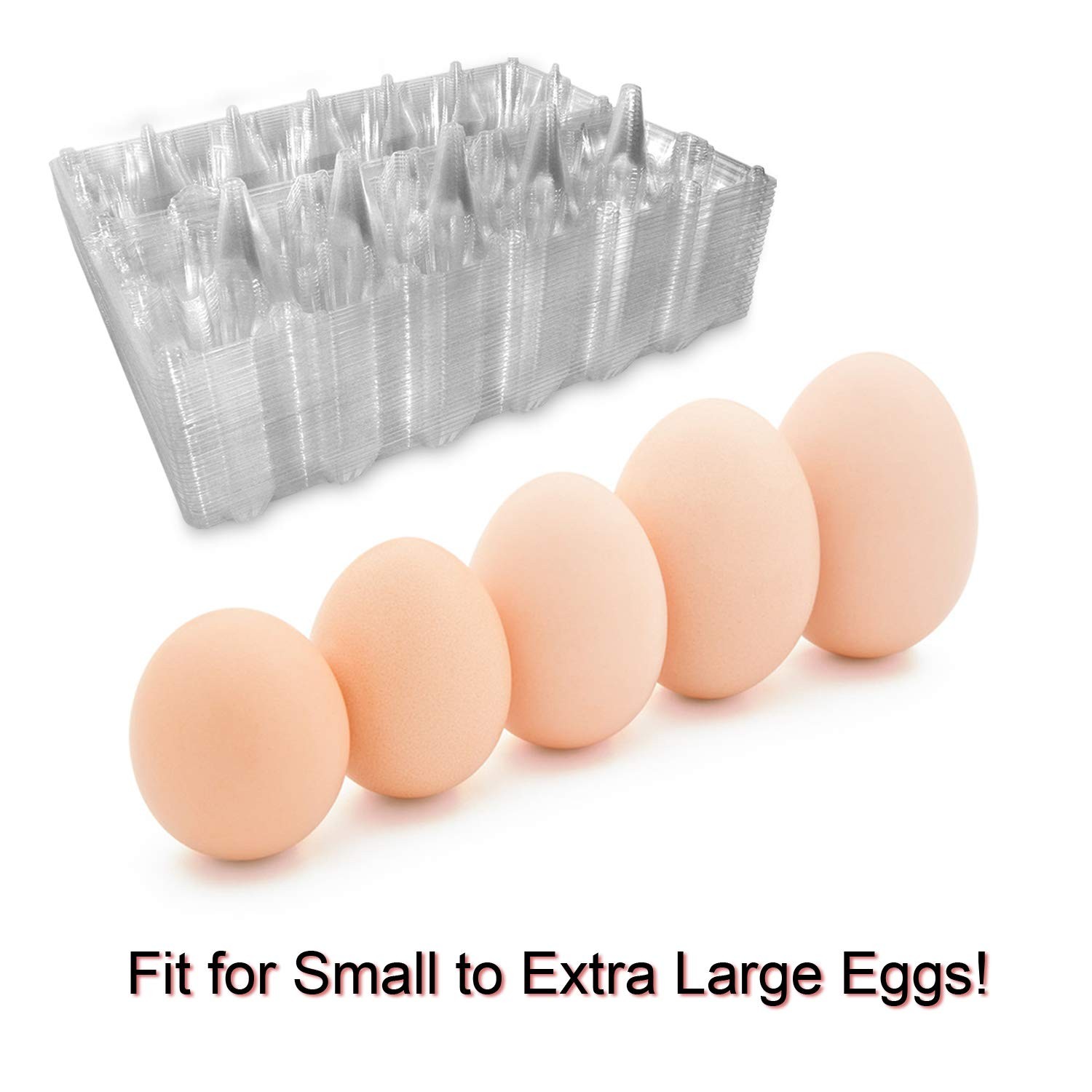 Large Plastic Egg Cartons 30 Packs with Sticker Labels for 12 Eggs, Cheap Bul... gallery