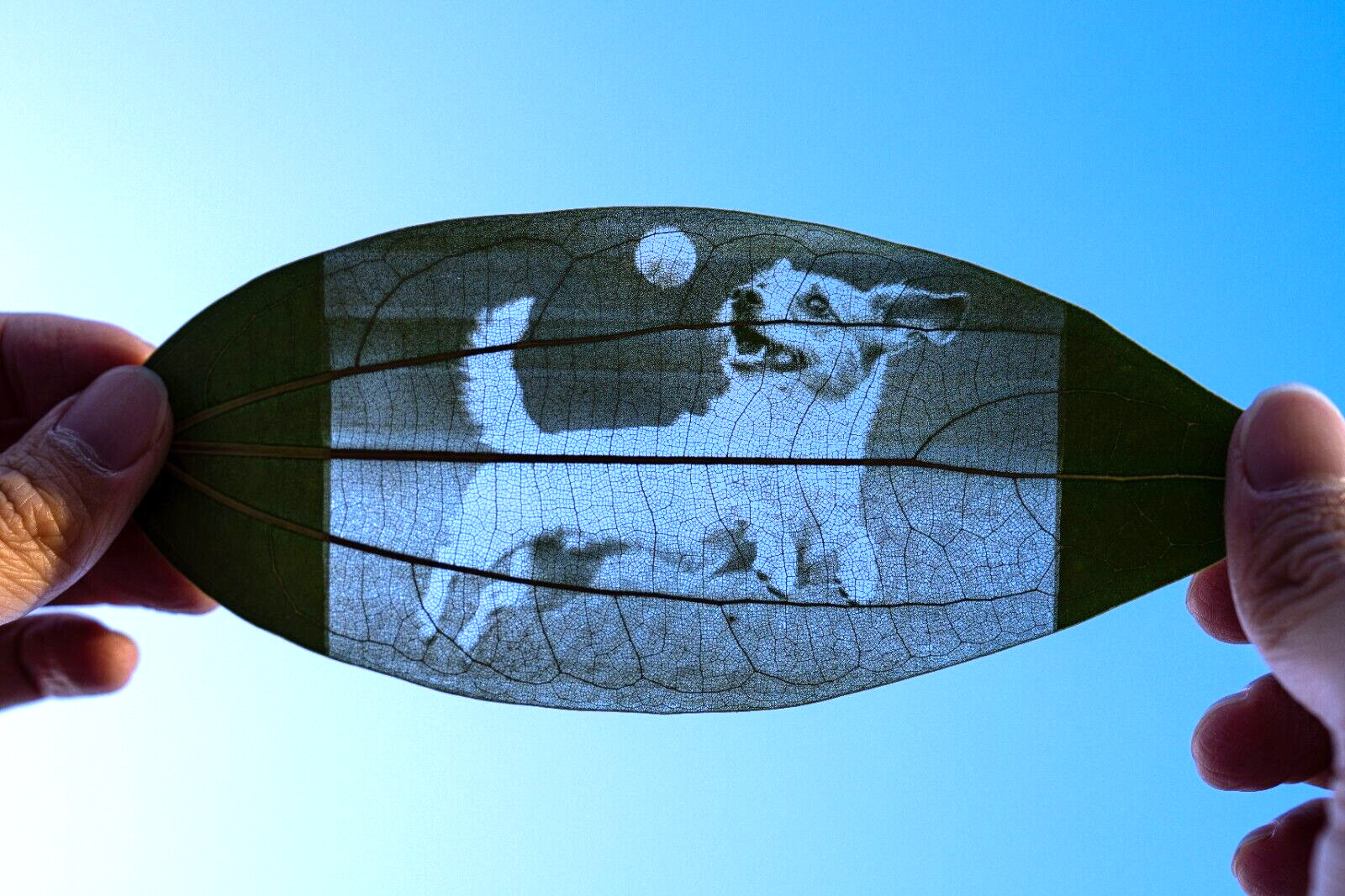 Custom Leaf Photo Engrave Carving Handmade Art Gift *Message Us Your Photo* gallery