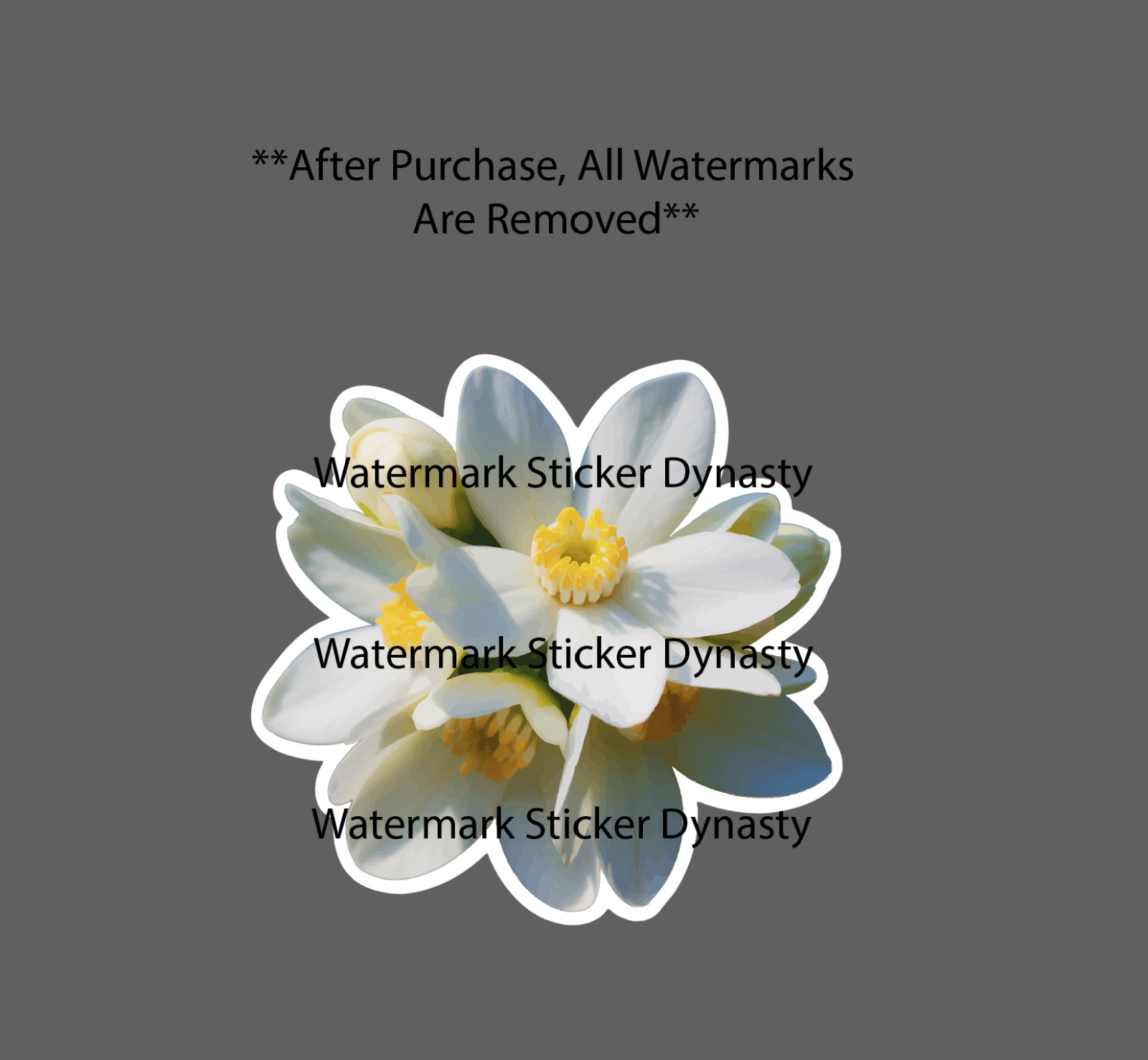Jasmine Flowers Sticker Waterproof Decal Floral Nature Wild Gift NEW gallery