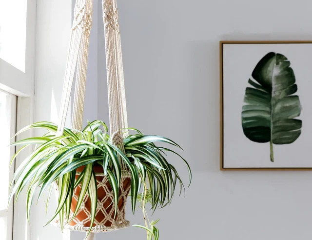 Boho Macrame Plant Hanger Handmade Cotton Rope Hanging Planter for Outdoor gallery
